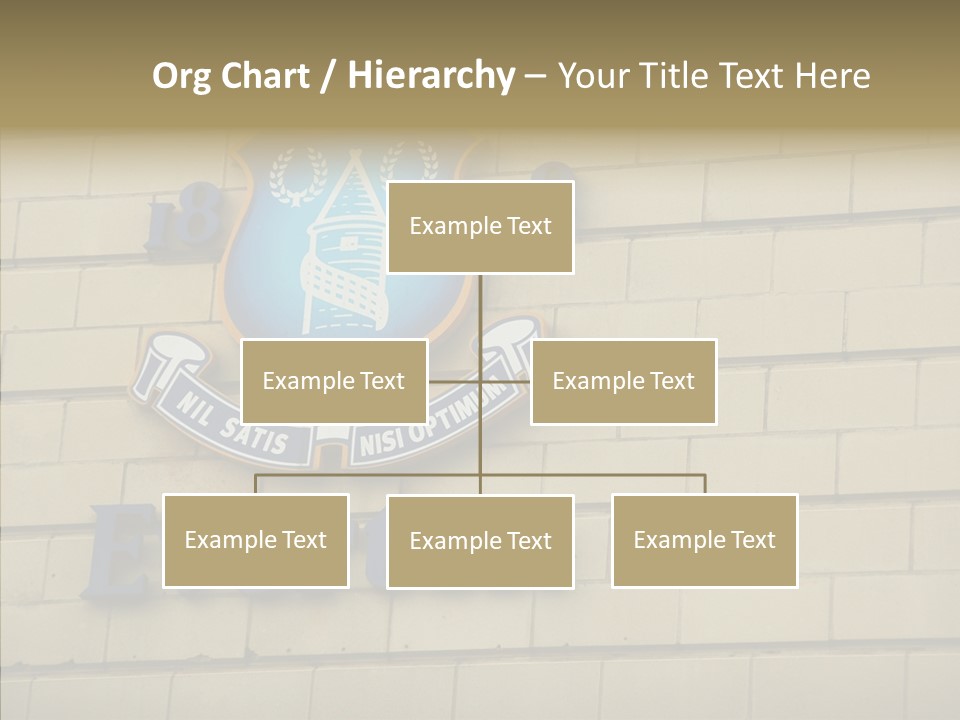 Night Utd Frank PowerPoint Template