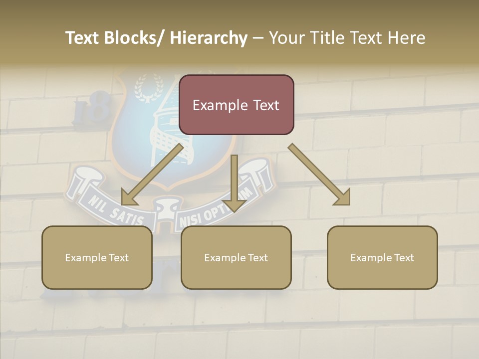 Night Utd Frank PowerPoint Template
