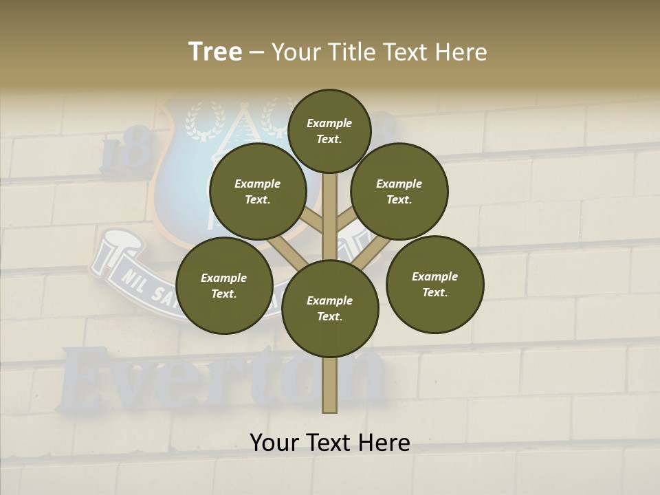 Night Utd Frank PowerPoint Template