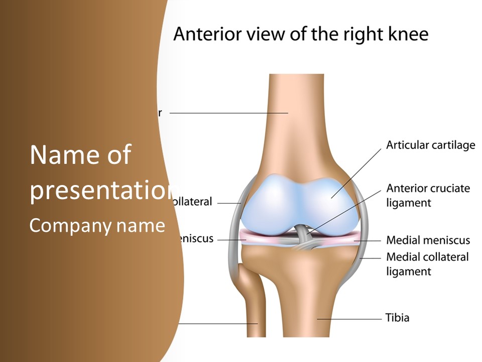 Normal Diagram Movement PowerPoint Template