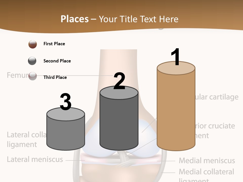 Normal Diagram Movement PowerPoint Template