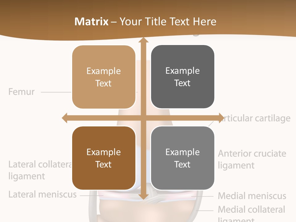 Normal Diagram Movement PowerPoint Template