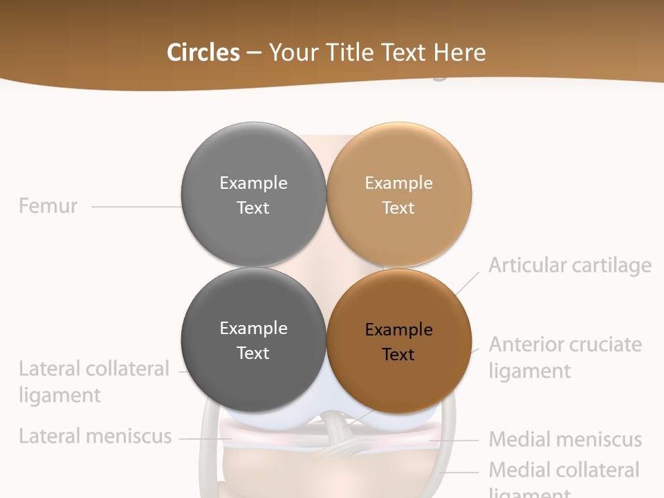 Normal Diagram Movement PowerPoint Template