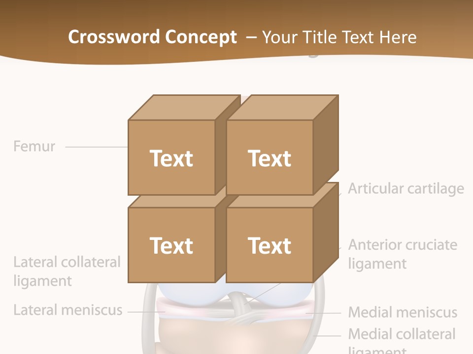 Normal Diagram Movement PowerPoint Template