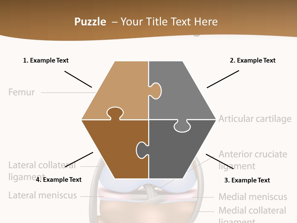 Normal Diagram Movement PowerPoint Template