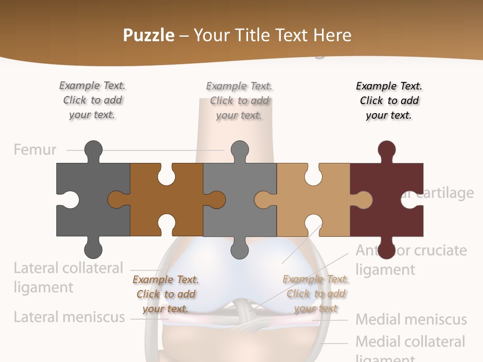 Normal Diagram Movement PowerPoint Template