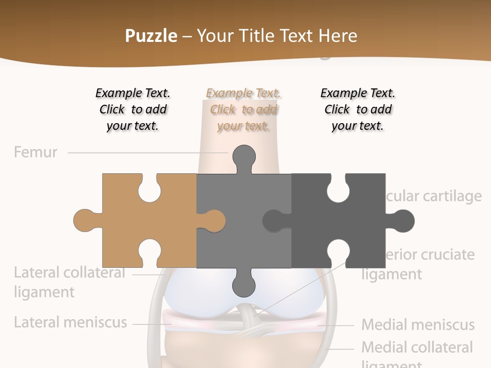 Normal Diagram Movement PowerPoint Template