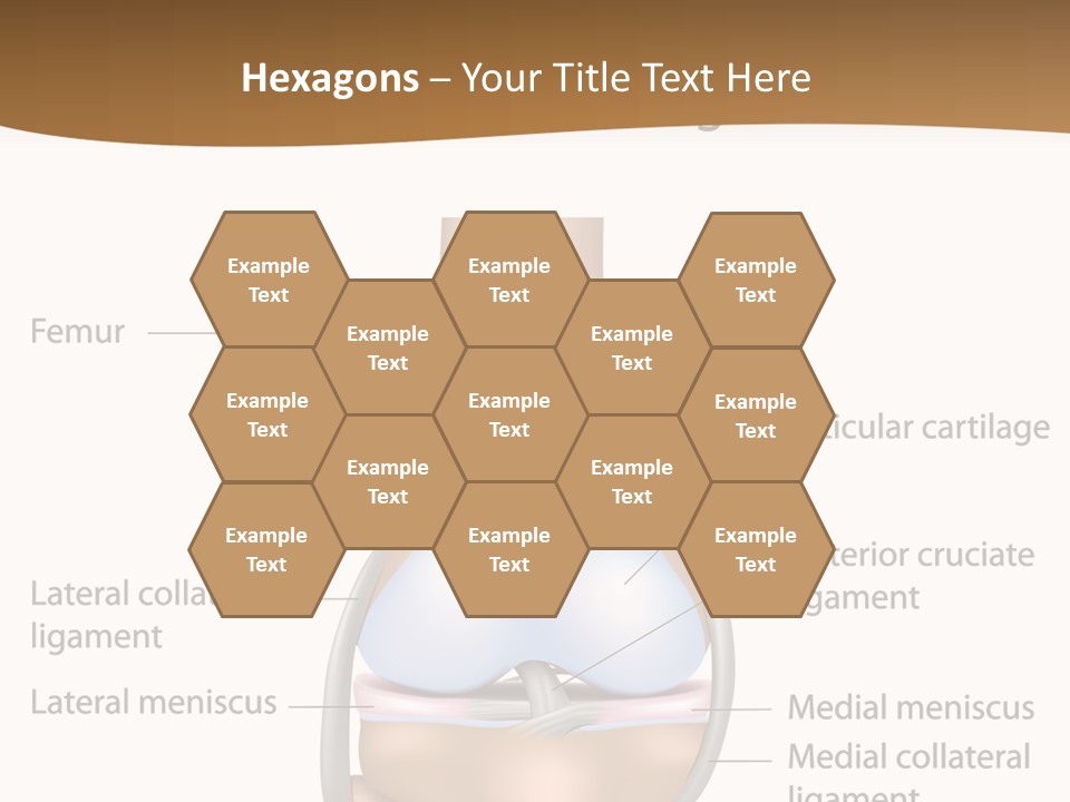 Normal Diagram Movement PowerPoint Template