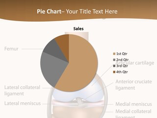 Normal Diagram Movement PowerPoint Template