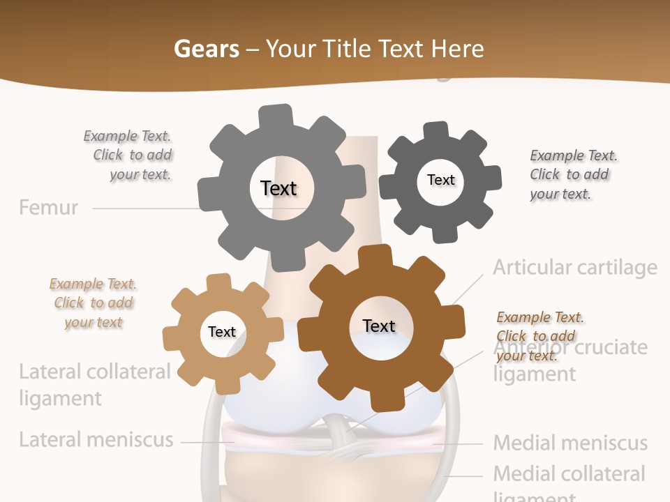 Normal Diagram Movement PowerPoint Template