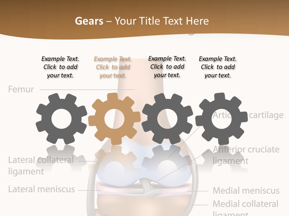 Normal Diagram Movement PowerPoint Template