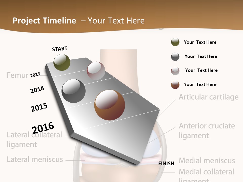 Normal Diagram Movement PowerPoint Template