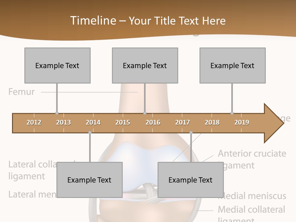 Normal Diagram Movement PowerPoint Template
