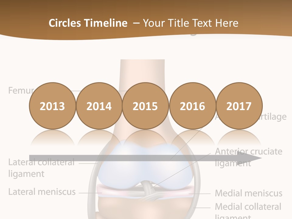 Normal Diagram Movement PowerPoint Template