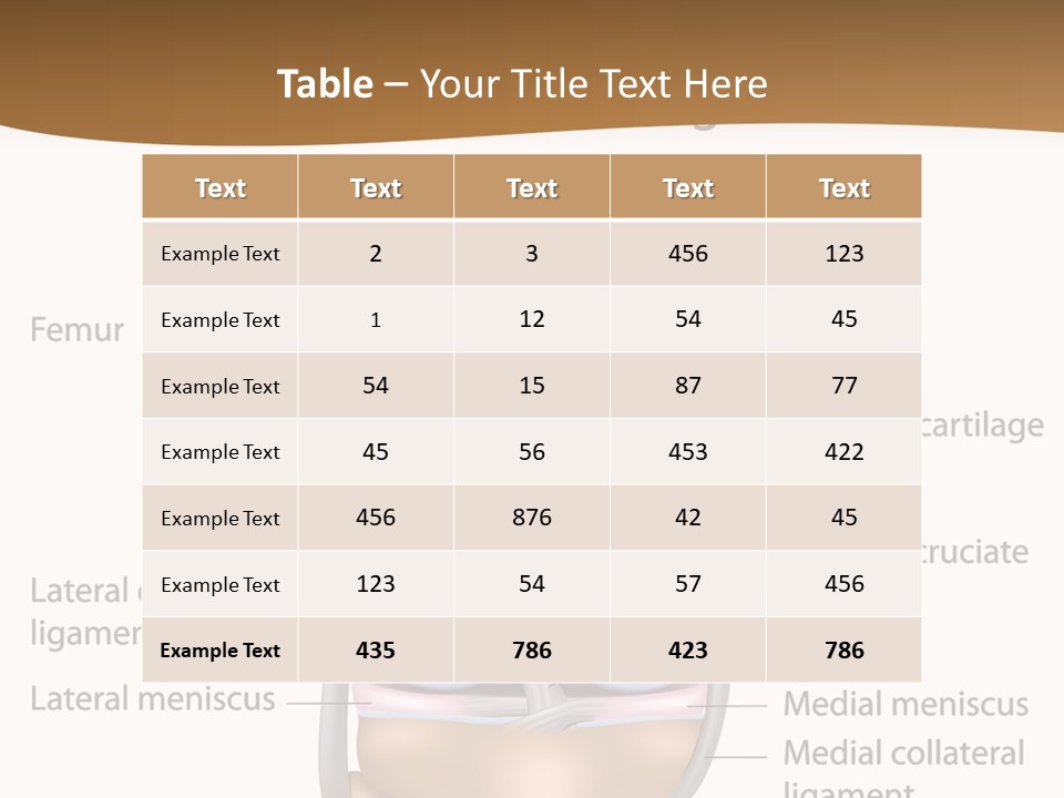 Normal Diagram Movement PowerPoint Template