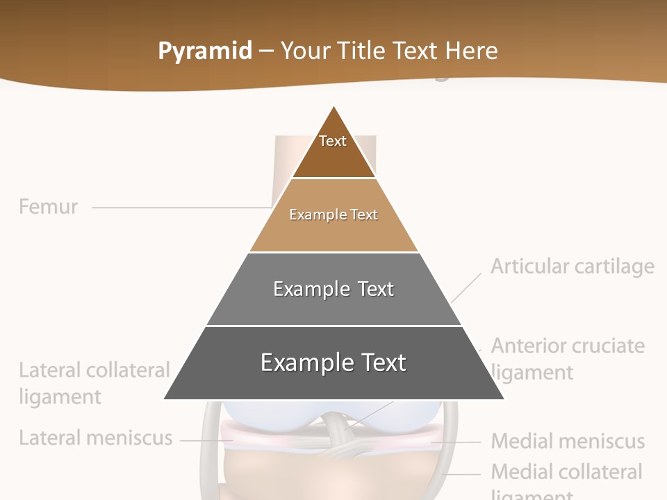 Normal Diagram Movement PowerPoint Template