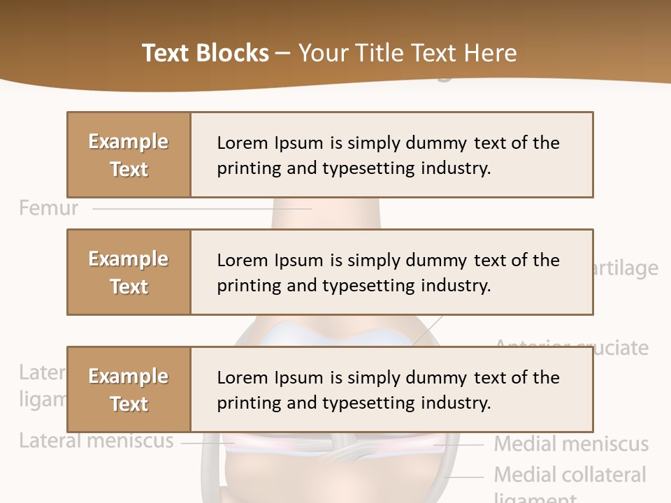 Normal Diagram Movement PowerPoint Template
