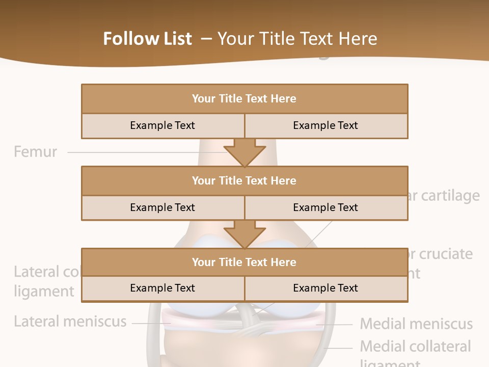Normal Diagram Movement PowerPoint Template