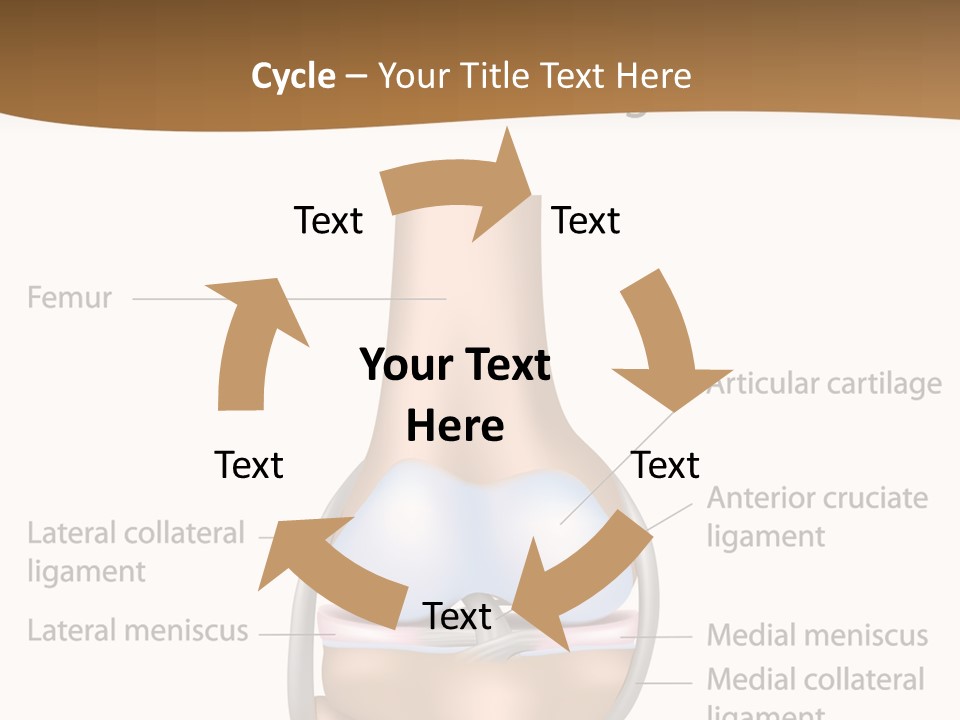 Normal Diagram Movement PowerPoint Template