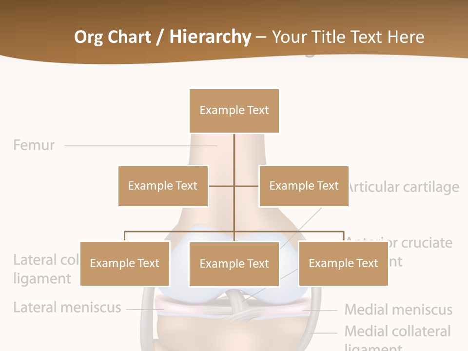 Normal Diagram Movement PowerPoint Template