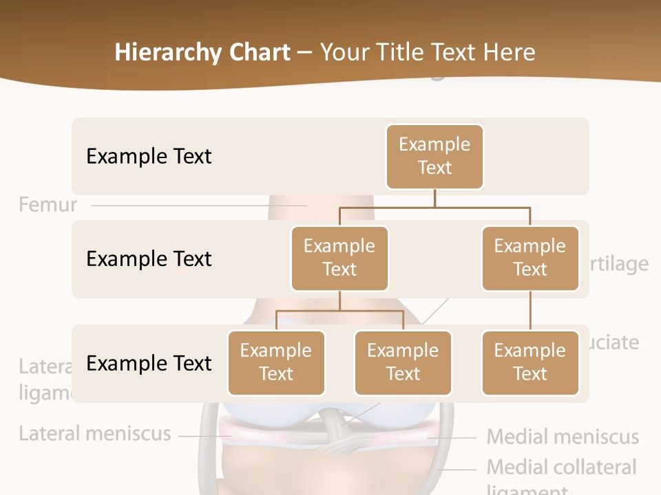 Normal Diagram Movement PowerPoint Template