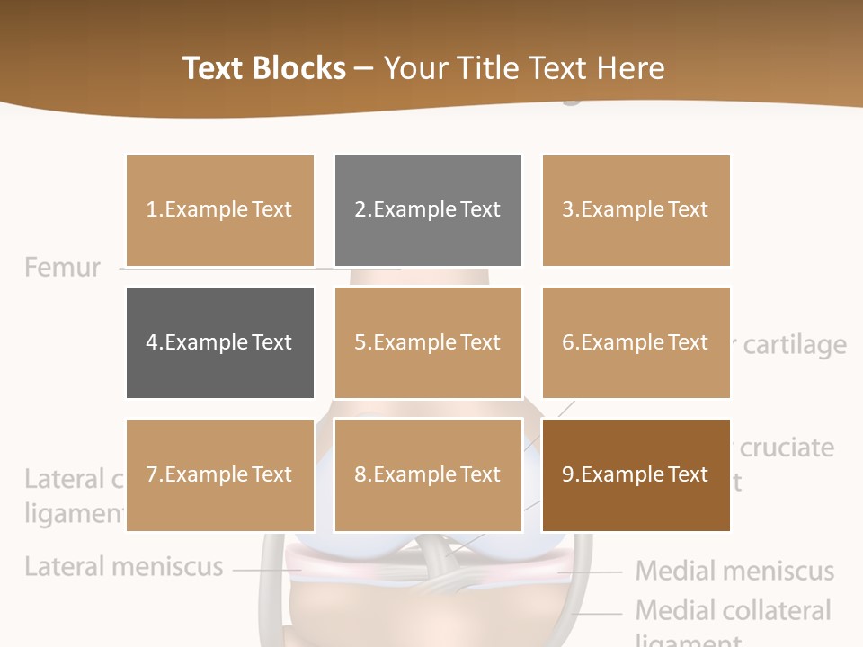 Normal Diagram Movement PowerPoint Template