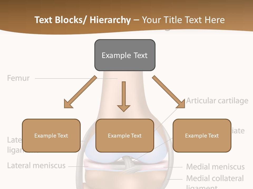 Normal Diagram Movement PowerPoint Template