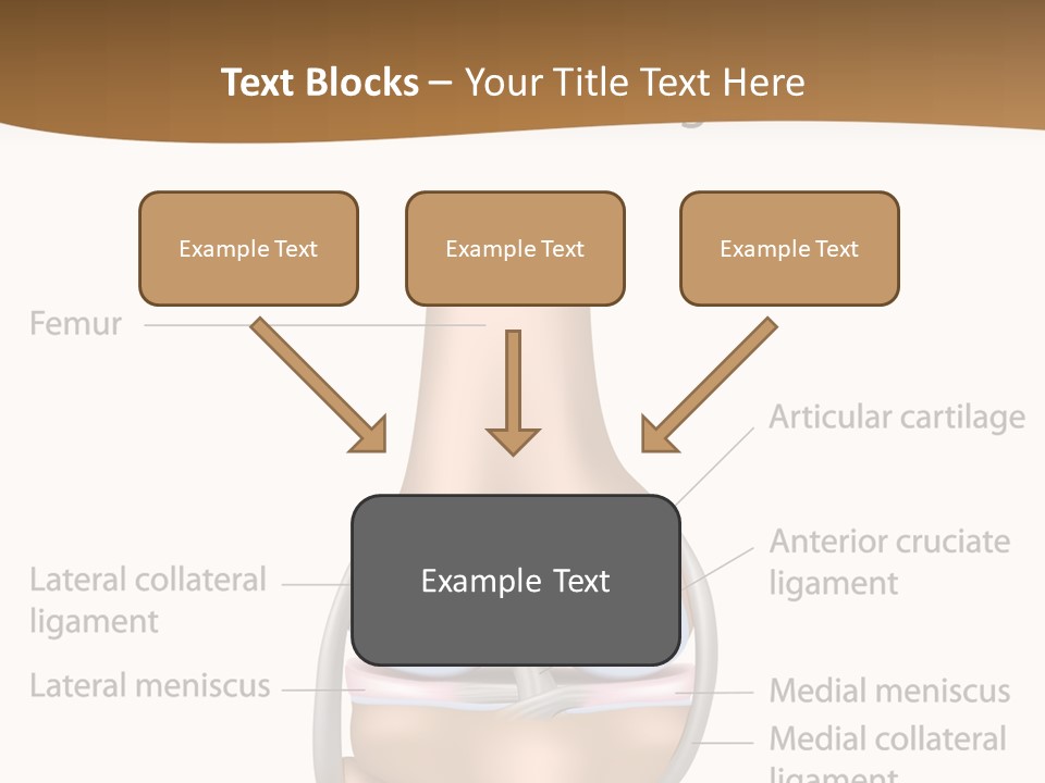 Normal Diagram Movement PowerPoint Template