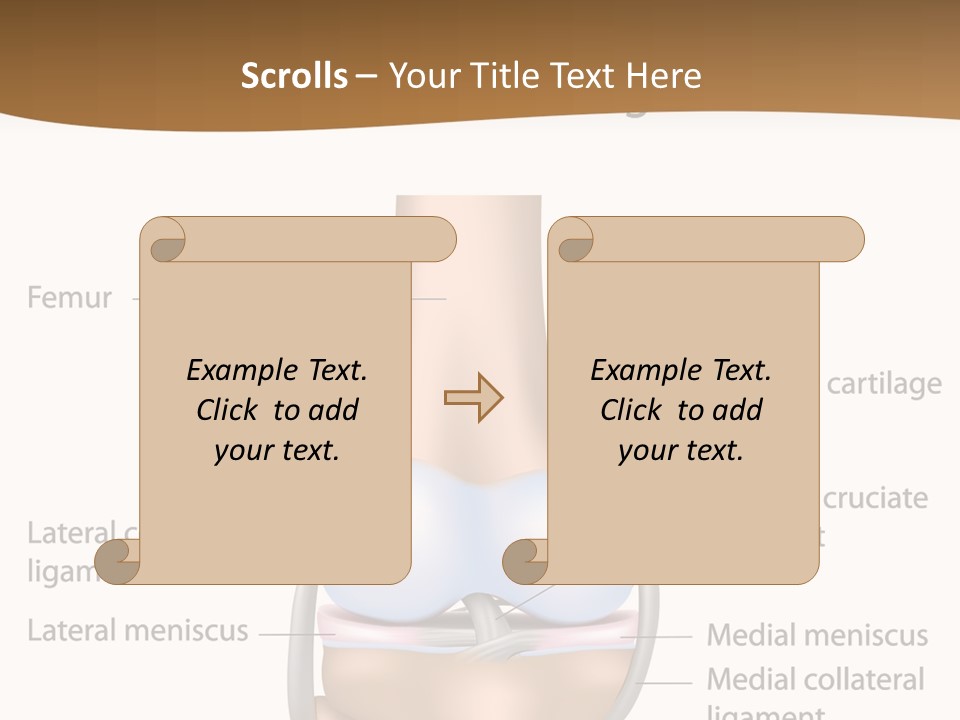 Normal Diagram Movement PowerPoint Template