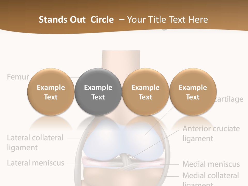 Normal Diagram Movement PowerPoint Template