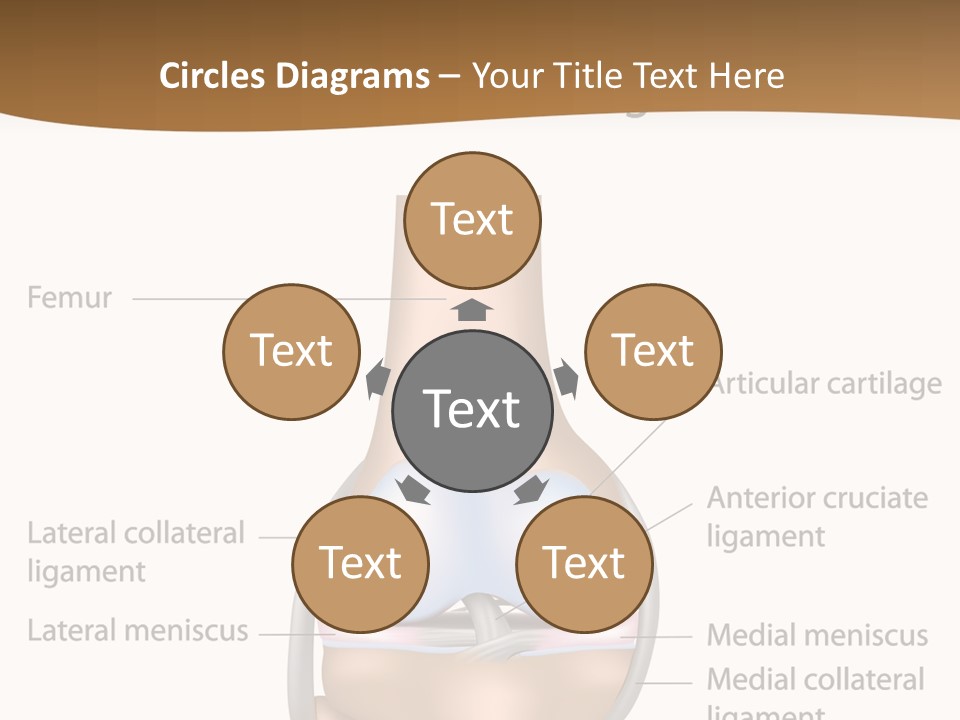Normal Diagram Movement PowerPoint Template