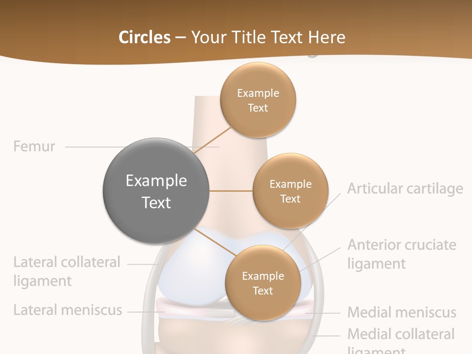 Normal Diagram Movement PowerPoint Template