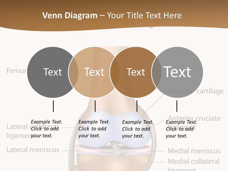 Normal Diagram Movement PowerPoint Template