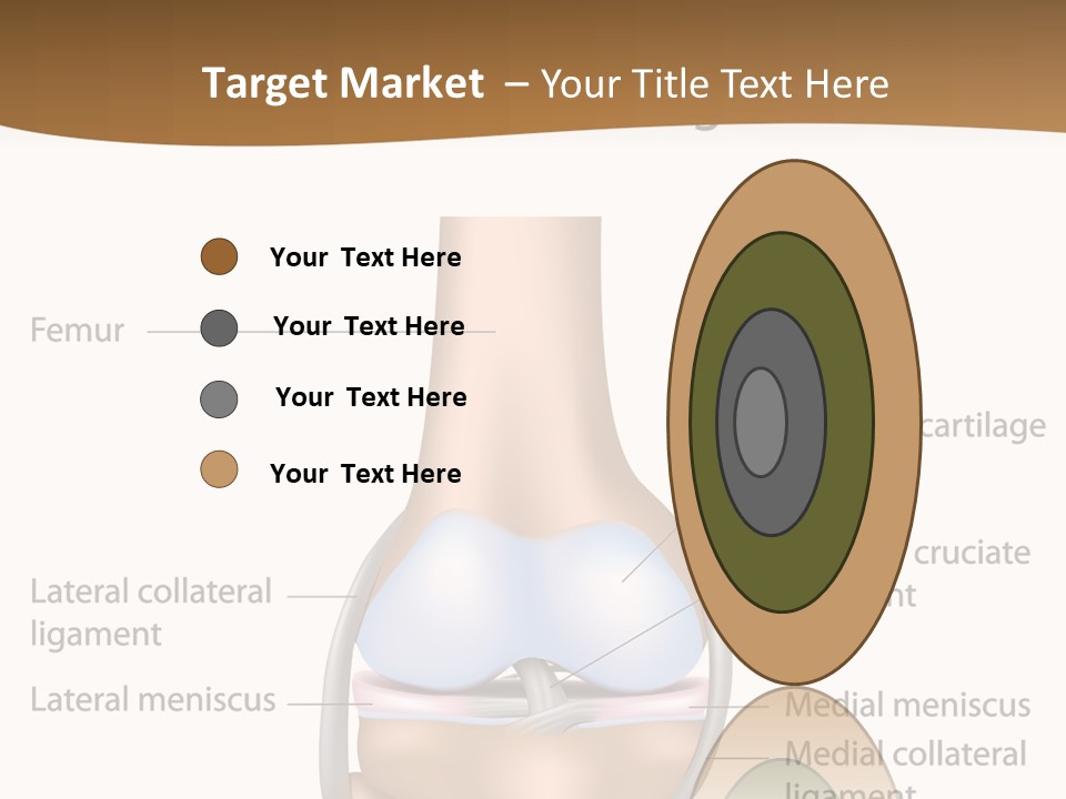 Normal Diagram Movement PowerPoint Template