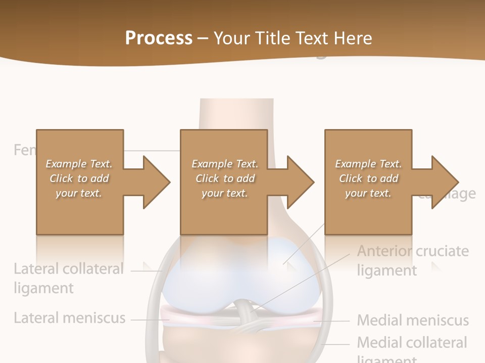 Normal Diagram Movement PowerPoint Template