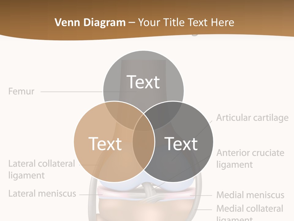 Normal Diagram Movement PowerPoint Template