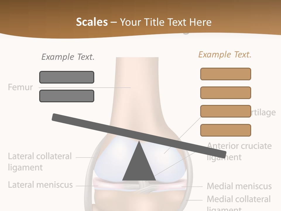 Normal Diagram Movement PowerPoint Template