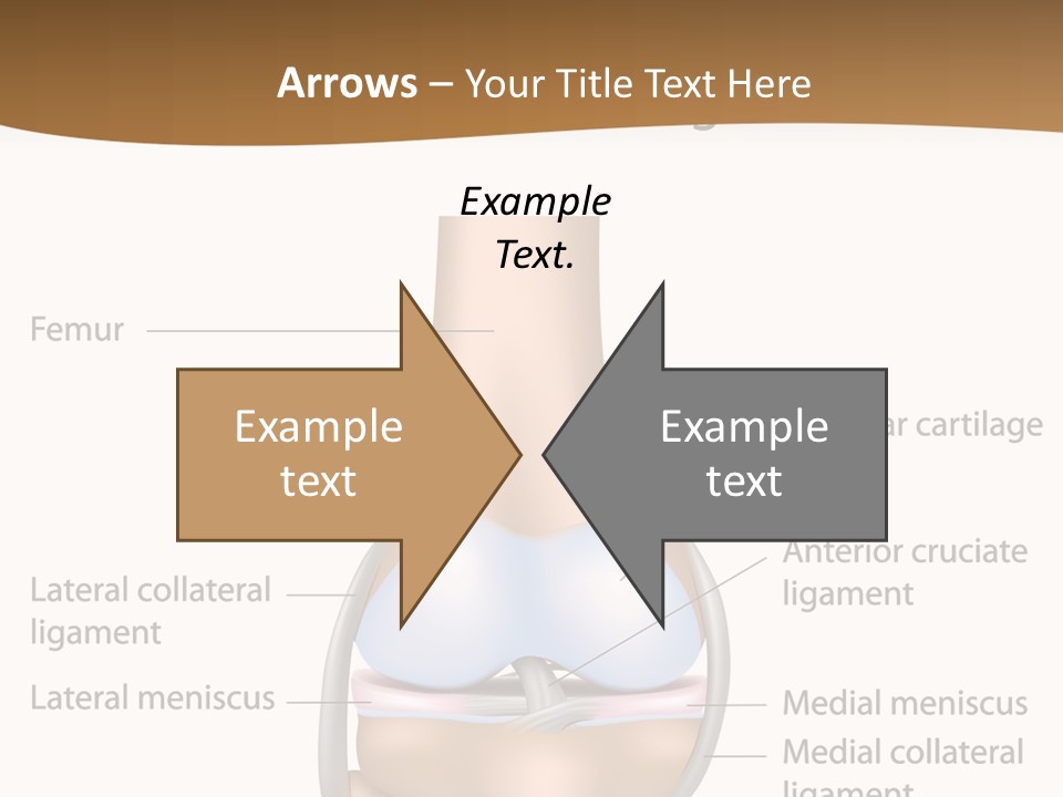 Normal Diagram Movement PowerPoint Template