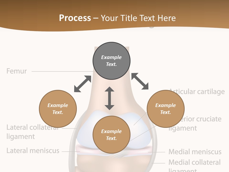Normal Diagram Movement PowerPoint Template