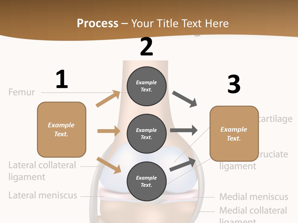 Normal Diagram Movement PowerPoint Template