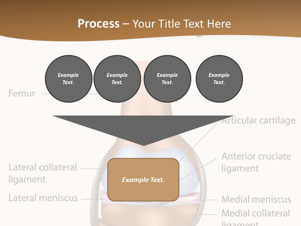 Normal Diagram Movement PowerPoint Template