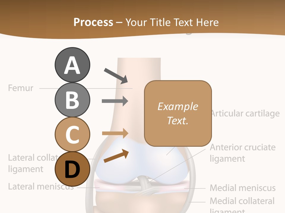 Normal Diagram Movement PowerPoint Template