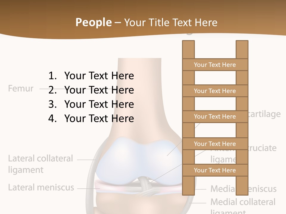 Normal Diagram Movement PowerPoint Template