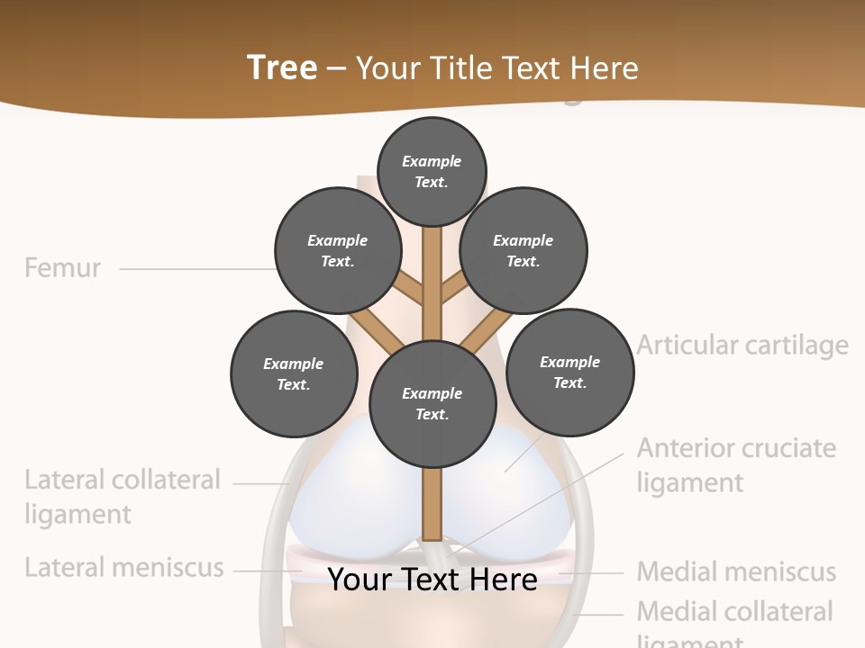 Normal Diagram Movement PowerPoint Template