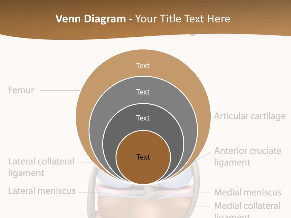 Normal Diagram Movement PowerPoint Template