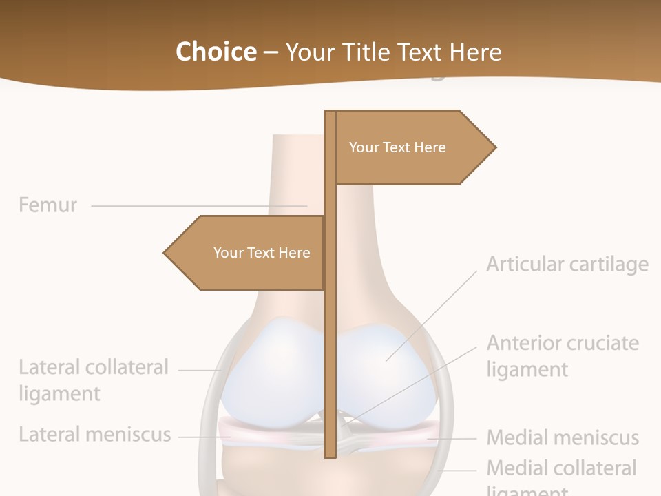 Normal Diagram Movement PowerPoint Template
