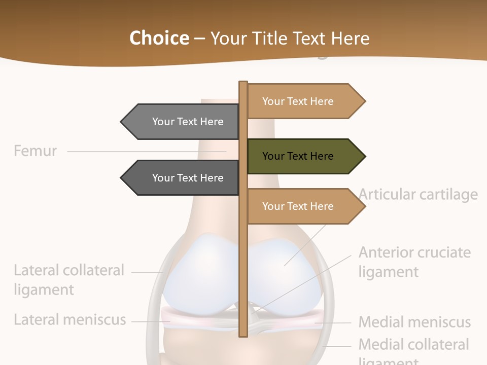 Normal Diagram Movement PowerPoint Template