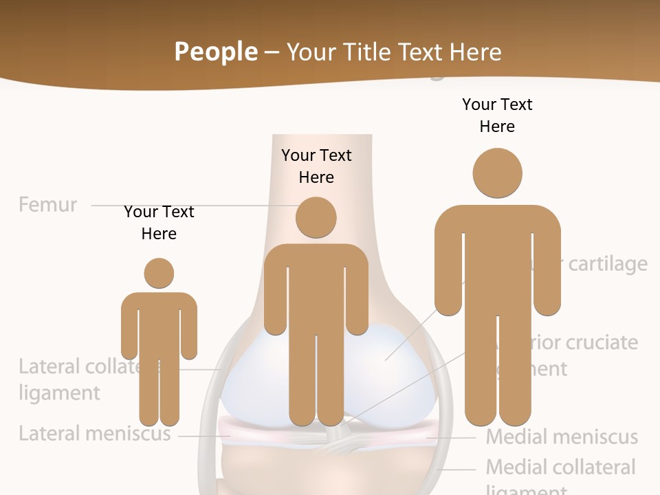 Normal Diagram Movement PowerPoint Template