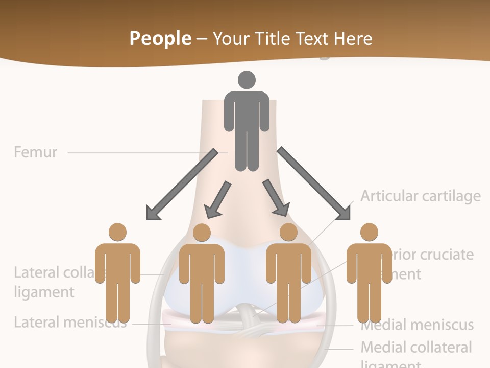 Normal Diagram Movement PowerPoint Template