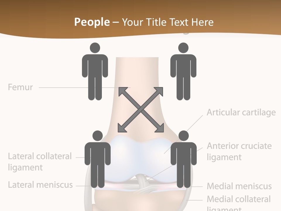 Normal Diagram Movement PowerPoint Template